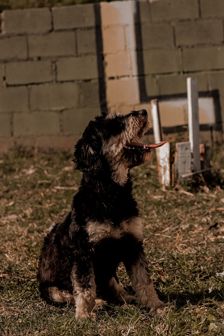 Foto Vila Capriotti - Imagem 12