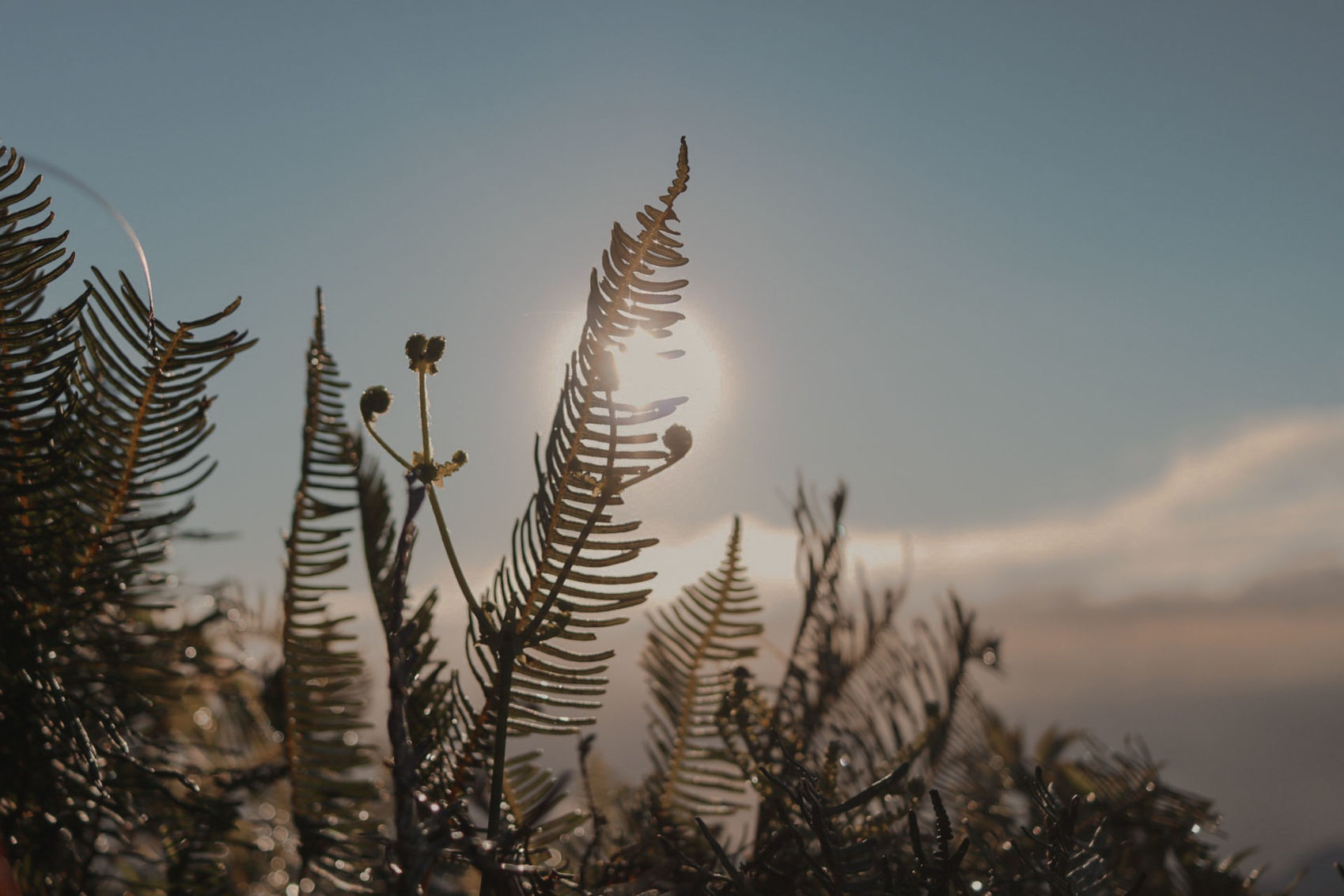 Foto Refúgio - Imagem 8