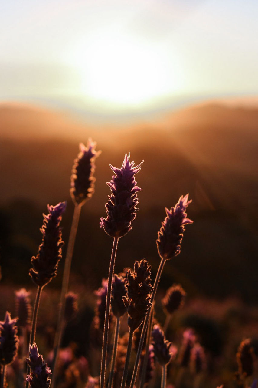 Foto Refúgio - Imagem 11