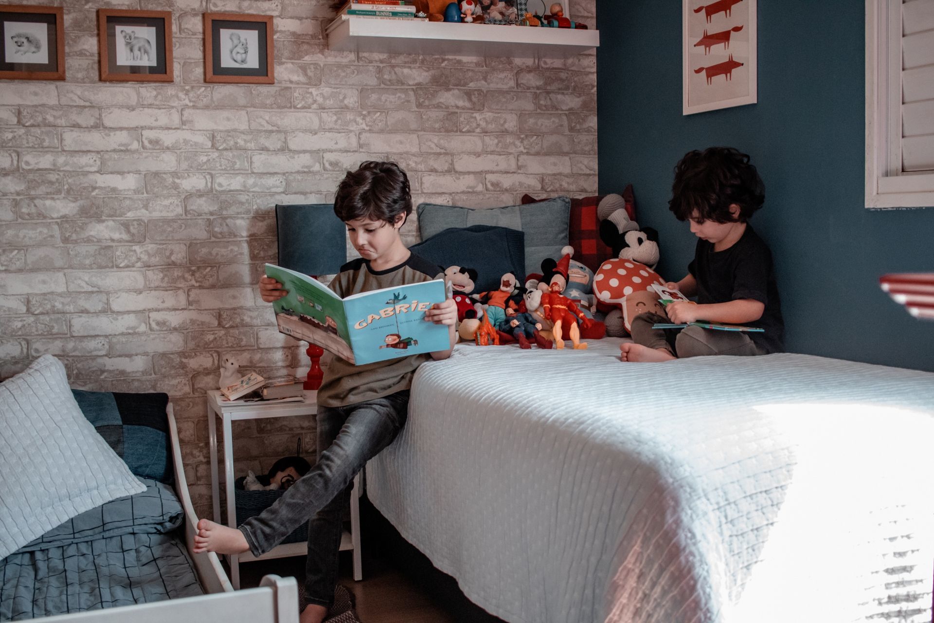 Foto Família Reynol - Imagem 10