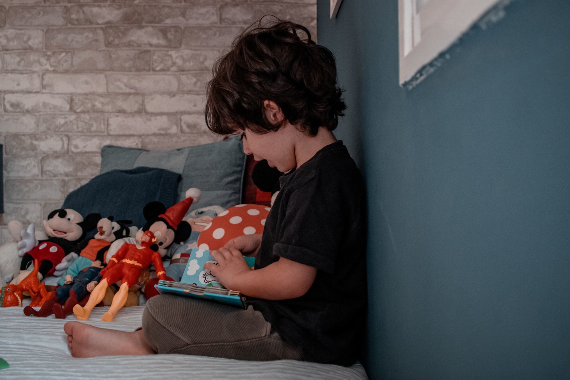 Foto Família Reynol - Imagem 11