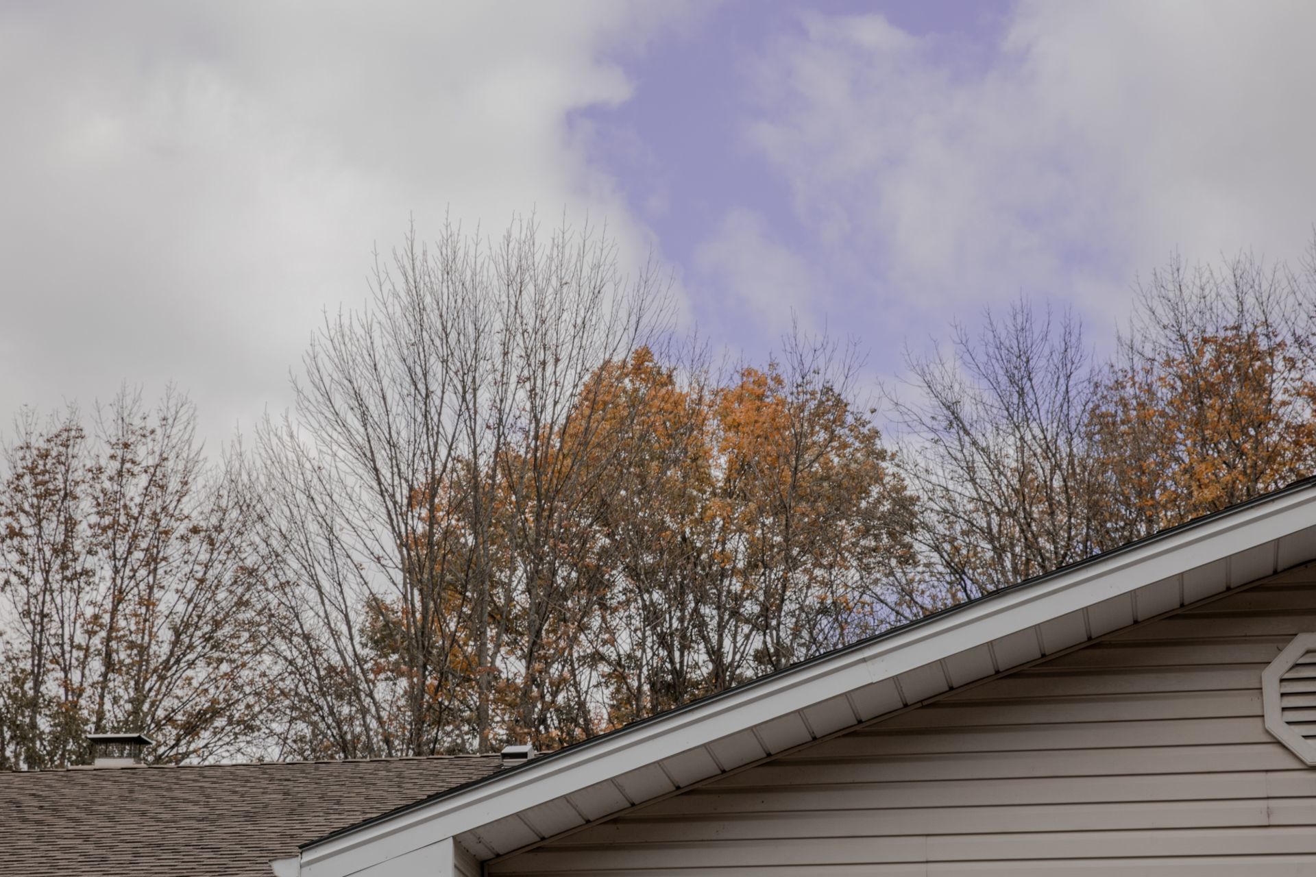 Foto Casamento - Canadá - Imagem 3