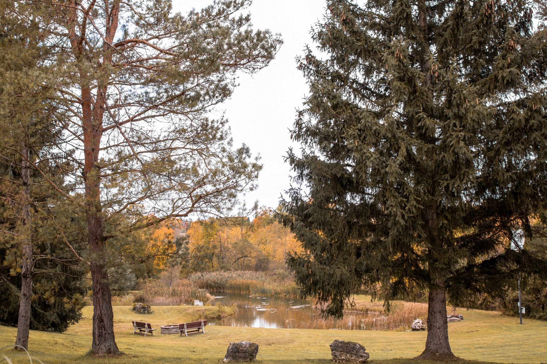 Foto Casamento - Canadá - Imagem 2
