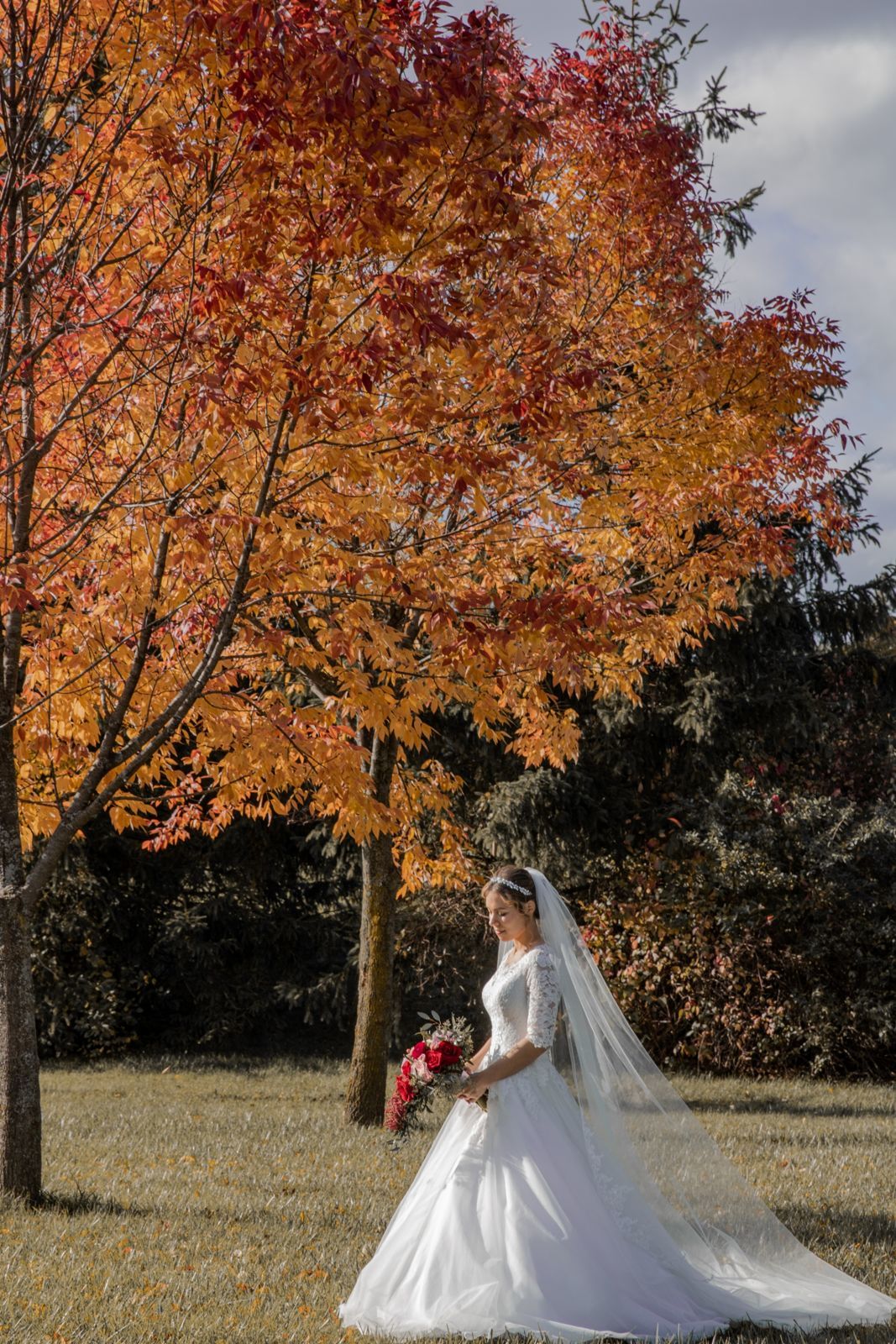 Foto Casamento - Canadá - Imagem 13