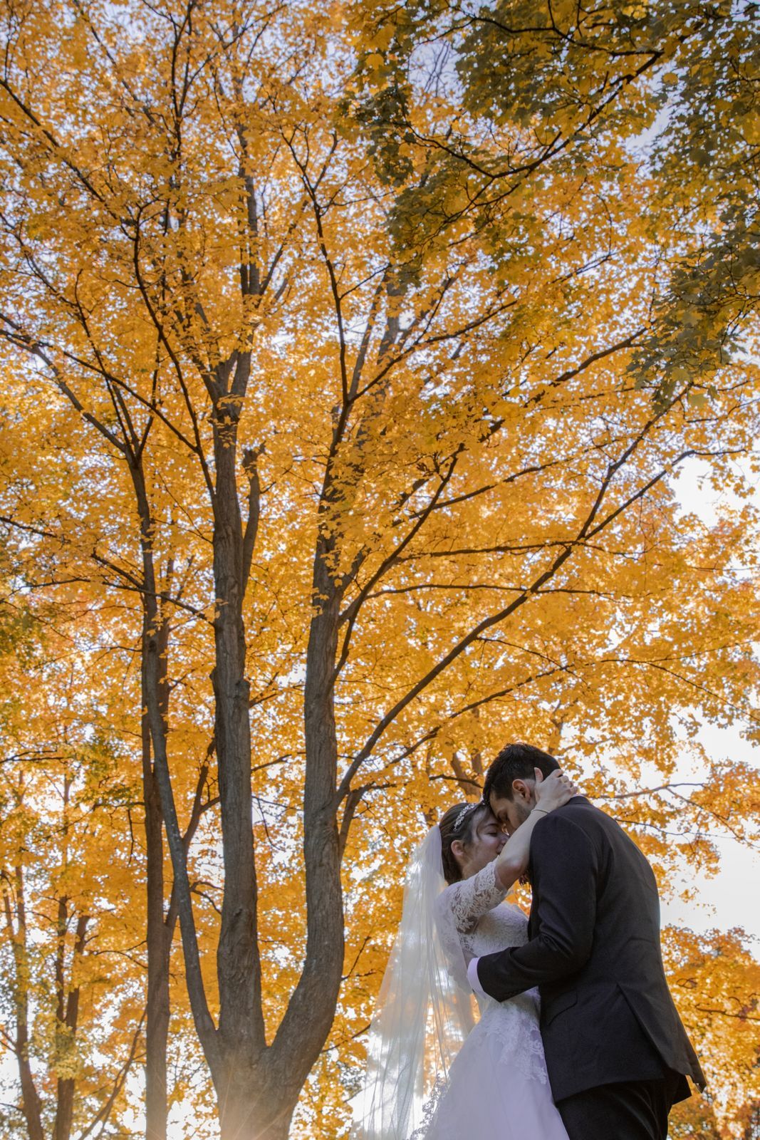 Foto Casamento - Canadá - Imagem 24