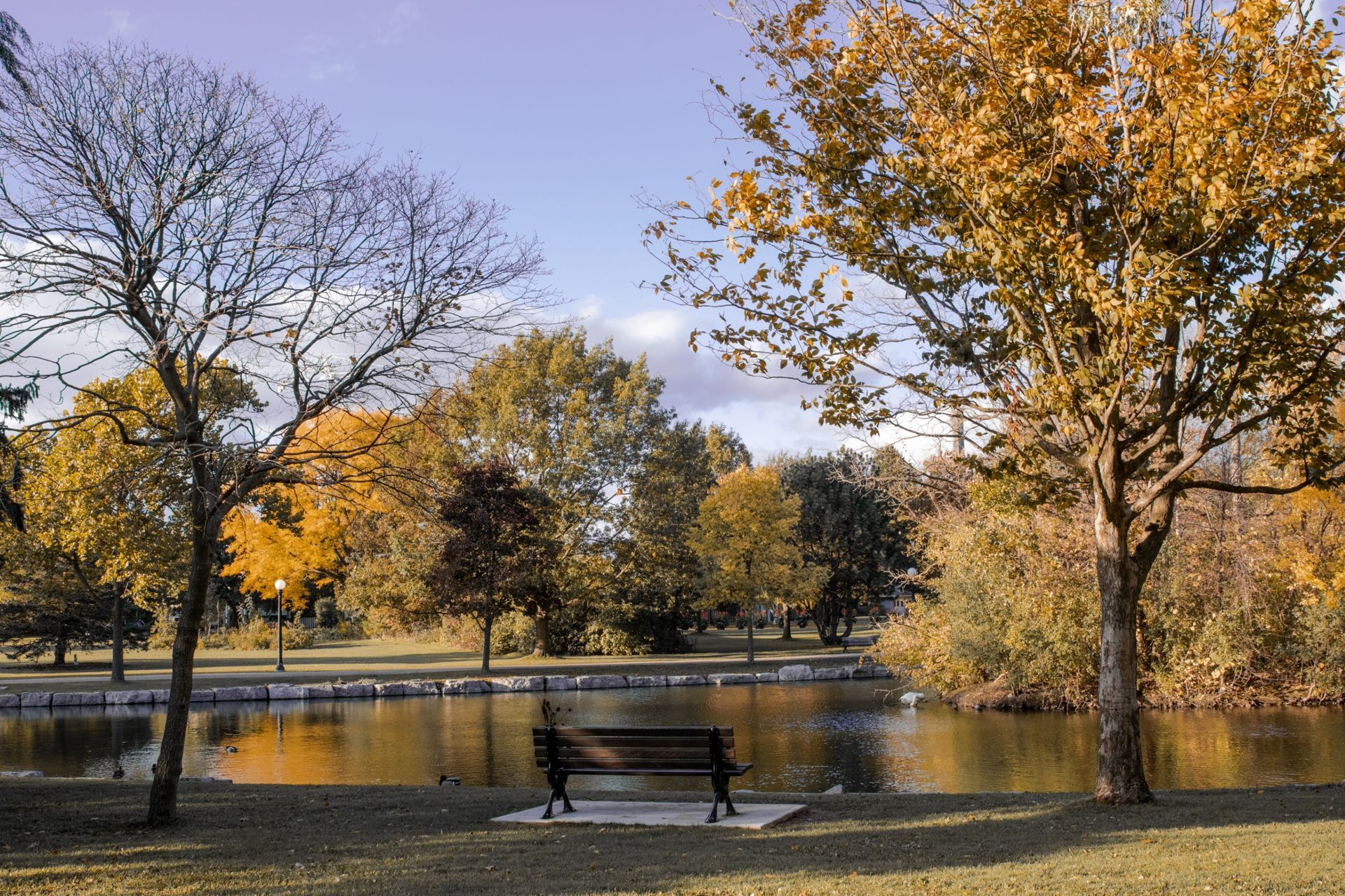 Foto Casamento - Canadá - Imagem 17