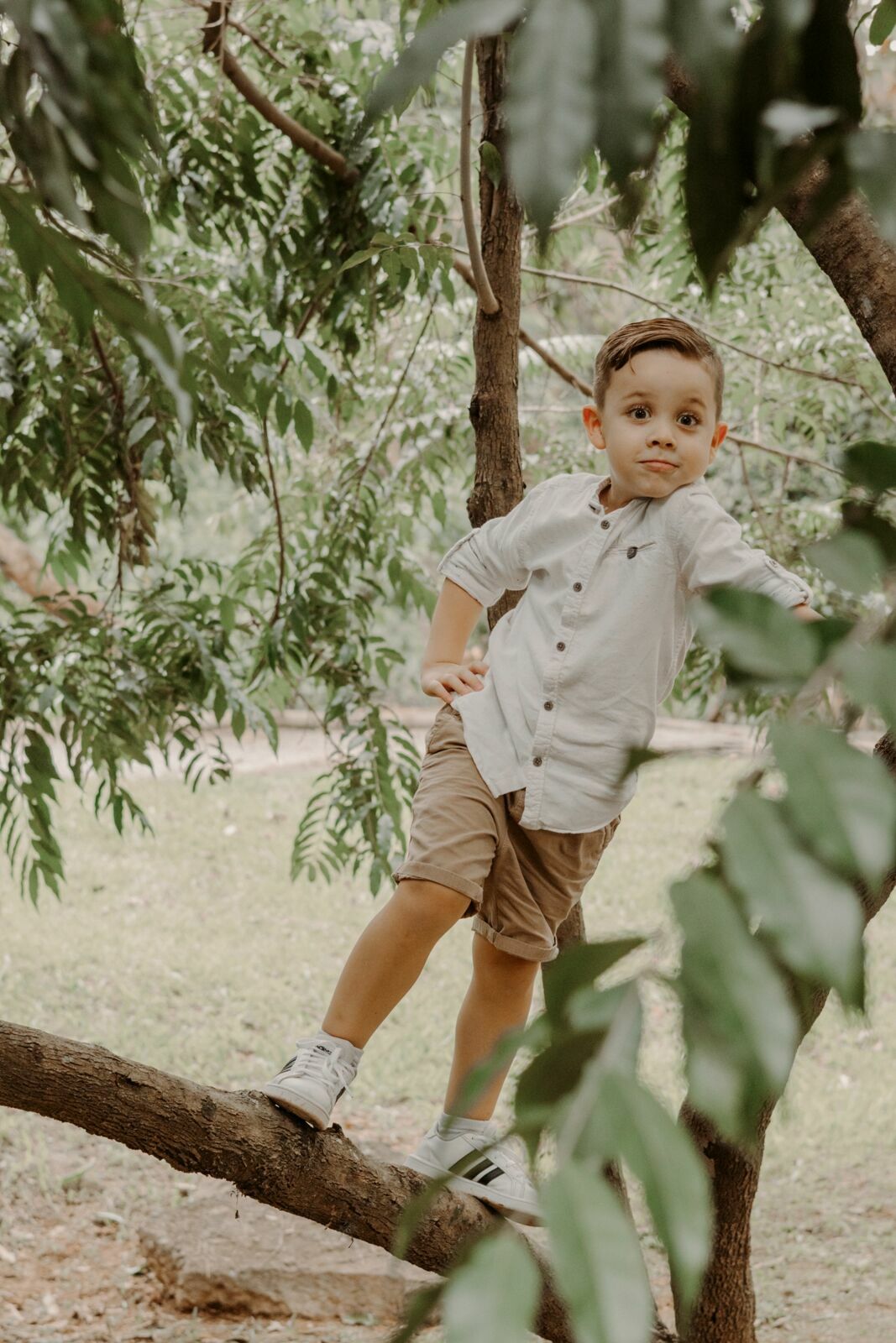 Foto Família - Thiago, Maysa, Ben, Noah, João e Helena - Imagem 4