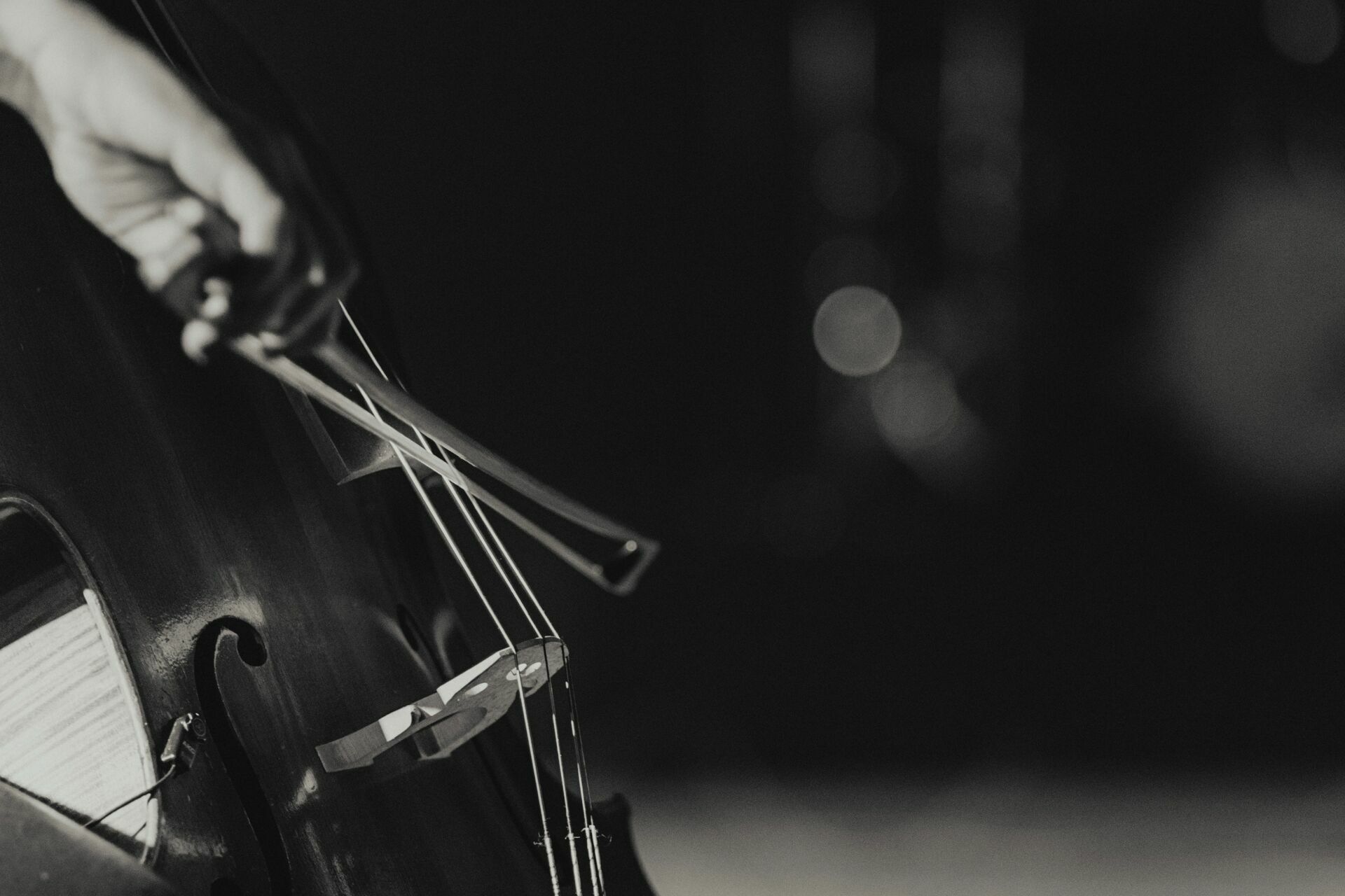 Foto Ipalpha - Conferência Prisma 2023 - Imagem 1